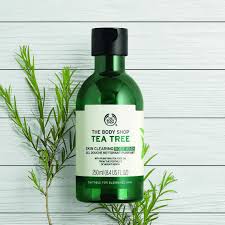 The Body Wash Tea Tree Body Wash 250ml